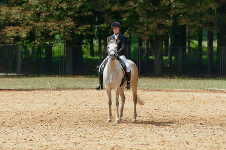 Equestrian sport, horse and rider in dressage competition, woman riding horse in outdoor arena,...