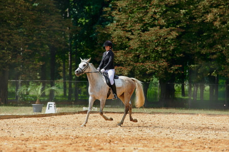 Equestrian sport, horse and rider in dressage competition, woman riding horse in outdoor arena,...
