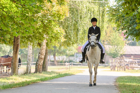 Woman riding a white horse on a country road, equestrian sport, horse riding, outdoor activity,...