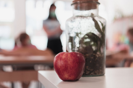 A close-up photo of a bottle containing a green plant and a ripe apple next to the bottleの写真素材