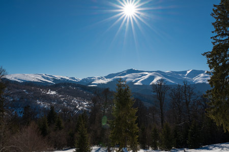 Sunny winter mountain landscape with snow-covered peaks, evergreen forest and clear blue sky, showcasing pristine alpine nature, cold season scenery and peaceful wilderness environmentの写真素材