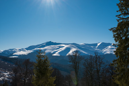 Sunny winter mountain landscape with snow-covered peaks, evergreen forest and clear blue sky, showcasing pristine alpine nature, cold season scenery and peaceful wilderness environmentの写真素材