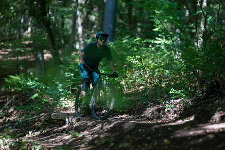 Mountain biker rides through a forested trail