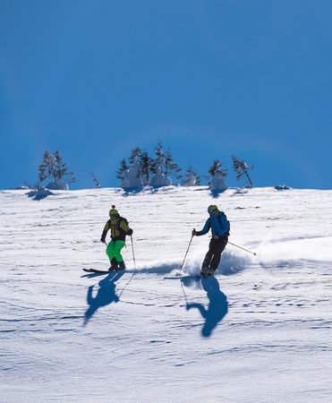 Three skiers carve down a sunny, powder-covered mountain slope, kicking up fresh snow under a clear blue sky, creating a dynamic winter sports action scene