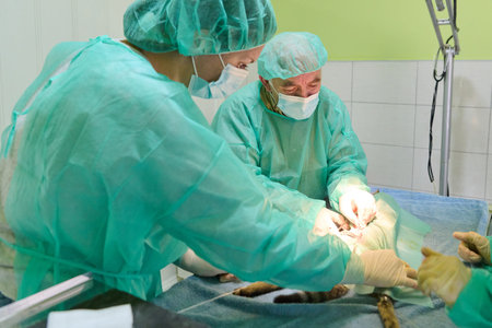 Surgeons in Green Gowns Perform Delicate Operation During Medical Procedureの写真素材