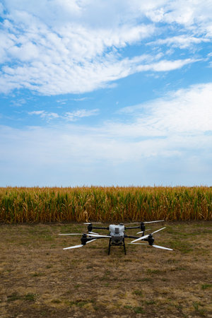 Agriculture drone in a cornfield capturing aerial crop health data for efficient farming