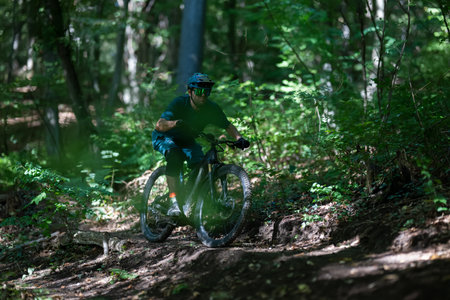 Rider on a mountain bike navigating a forest trail in sunlight