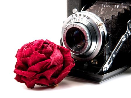 Love to Cameraの写真素材