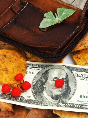 Dollar note fallen out of wallet. close up with leafs and mothの写真素材