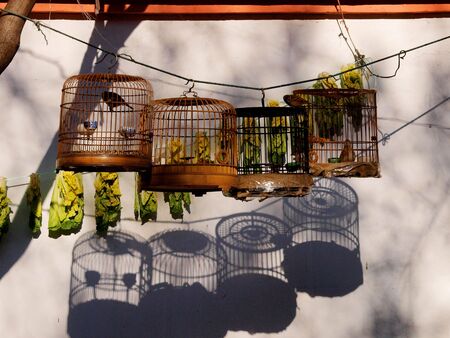 bird cage on a string in front of a houseの写真素材