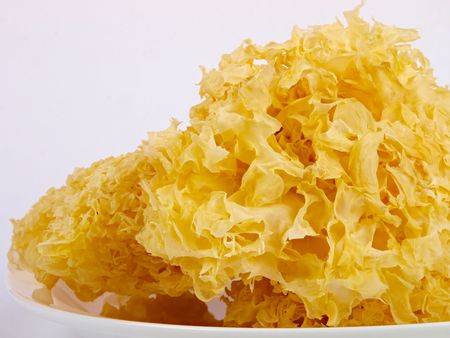 Chinese dried fungus. Close up on white backgroundの写真素材