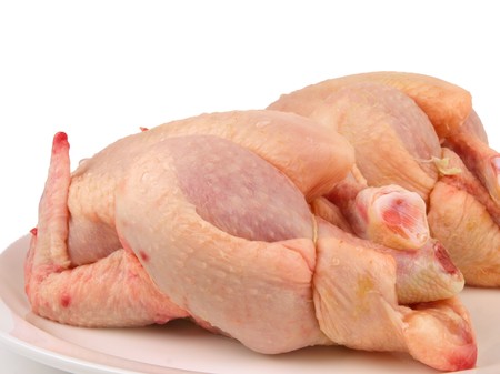 Fresh raw Chickenの写真素材