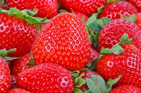 strawberries. Close up with green leavesの写真素材
