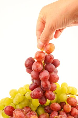 Hand holding Grapesの写真素材