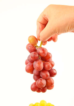 Hand holding Grapesの写真素材