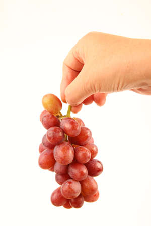 Hand holding Grapesの写真素材