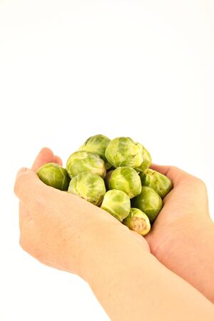 Female hands holding fresh Brussels sproutsの写真素材