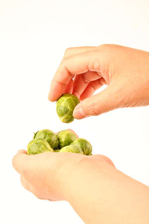 Female hands holding fresh Brussels sproutsの写真素材