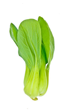 Fresh green spinach cabbageの写真素材