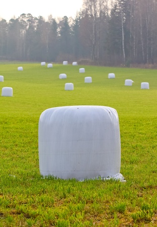 straw bales wrapped in plastic on a green fieldの写真素材