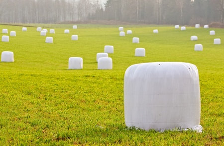 straw bales wrapped in plastic on a green fieldの写真素材