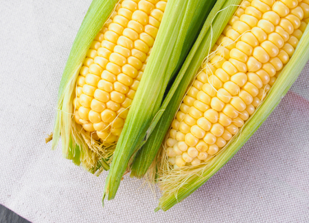 Fresh cornの写真素材