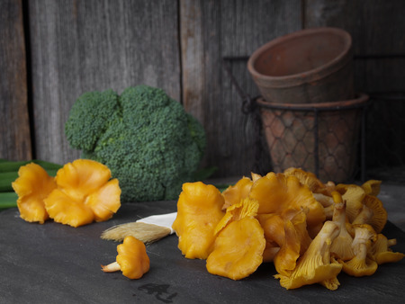 Chanterellesの写真素材