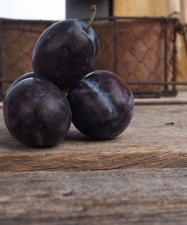 Blue delicious plumsの写真素材