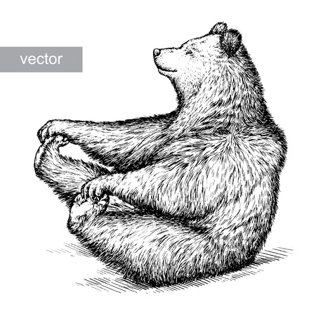 engrave isolated vector bear illustration sketch. linear artのイラスト素材