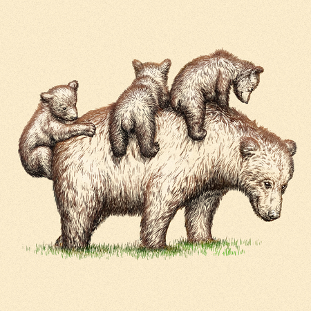 engrave isolated bear illustration sketch. linear artの写真素材