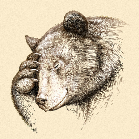 engrave isolated bear illustration sketch. linear artの写真素材
