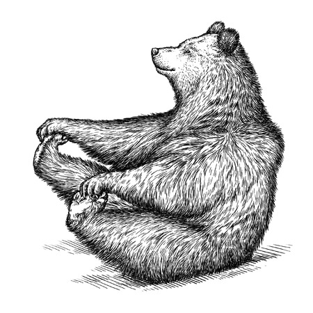 engrave isolated bear illustration sketch. linear artの写真素材