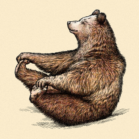 engrave isolated bear illustration sketch. linear artの写真素材