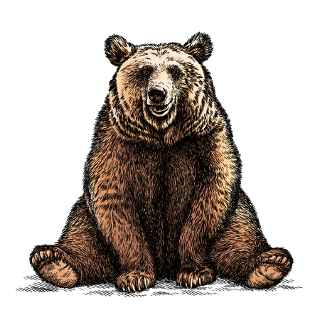 engrave isolated bear illustration sketch. linear artの写真素材