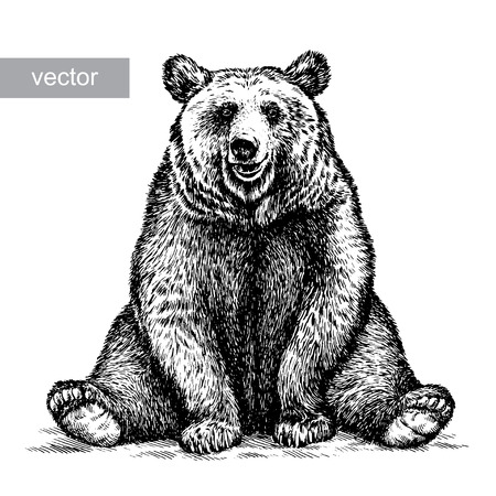 engrave isolated vector bear illustration sketch. linear artのイラスト素材