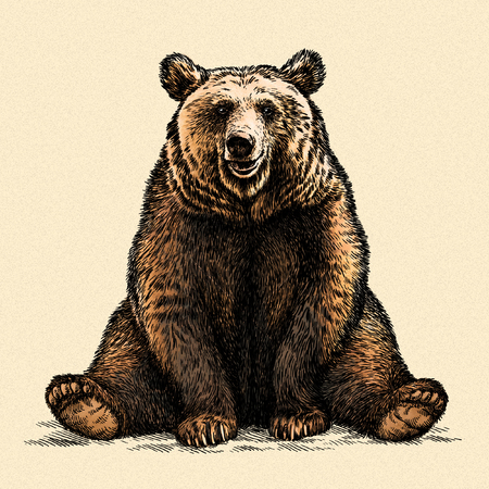 engrave isolated bear illustration sketch. linear artの写真素材