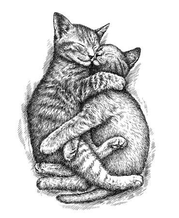 engrave isolated kitten illustration sketch. linear artの写真素材