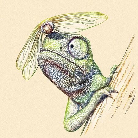 engrave isolated chameleon illustration sketch. linear artの写真素材