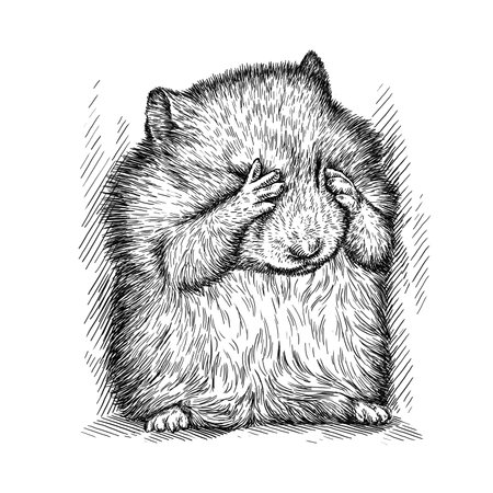 engrave isolated hamster illustration sketch. linear artの写真素材