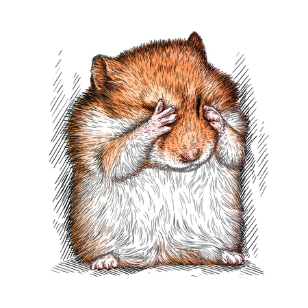 engrave isolated hamster illustration sketch. linear artの写真素材