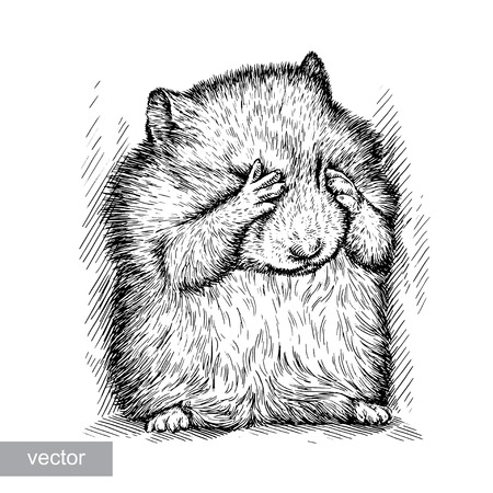 engrave isolated vector hamster illustration sketch. linear artのイラスト素材