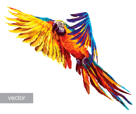 Colorful parrots. Beautiful blue and gold macaw. Vectorのイラスト素材
