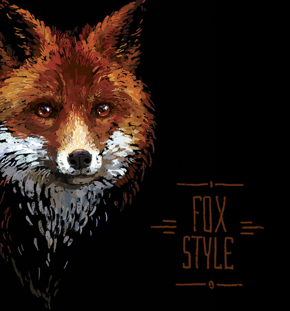 Colored red fox illustration on white backgroundの写真素材