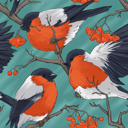 Bullfinch bird winter nature wildlife illustration contour  seamless patternの写真素材