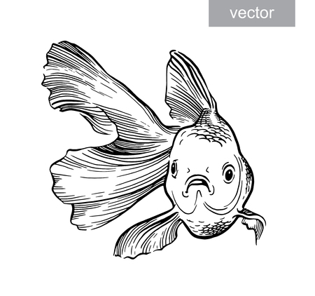 Goldfish illustration artwork  line underwater engraving vectorのイラスト素材
