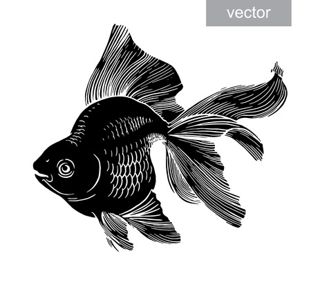 Goldfish illustration artwork  line underwater engraving vectorのイラスト素材