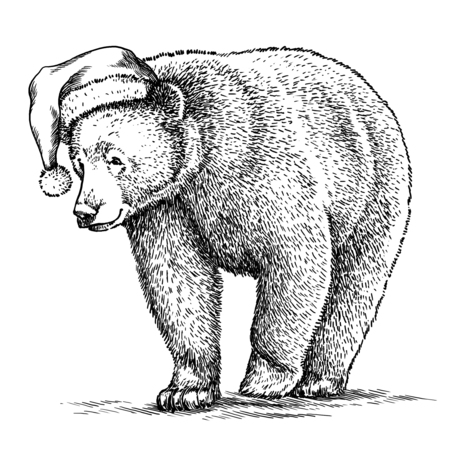 Brown bear, black and white engrave. Christmas hat.の写真素材