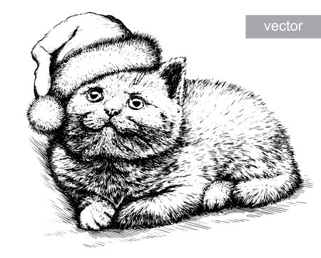 Cat, black and white engrave. Christmas hat. Vectorのイラスト素材