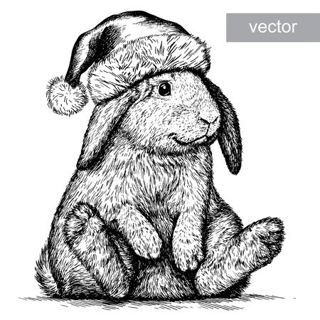 Rabbit, black and white engrave. Christmas hat.のイラスト素材
