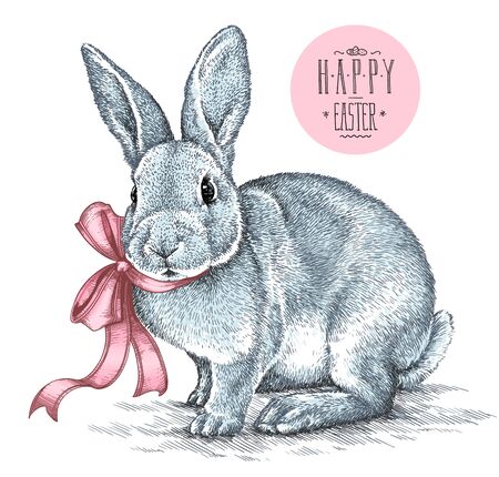 Easter rabbit bunny engrave illustration vintage graphicの写真素材